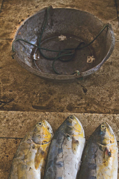 Surviving fish market Surviving fish market