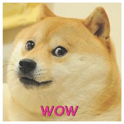 An Ode to Classic Memes An Ode to Classic Memes