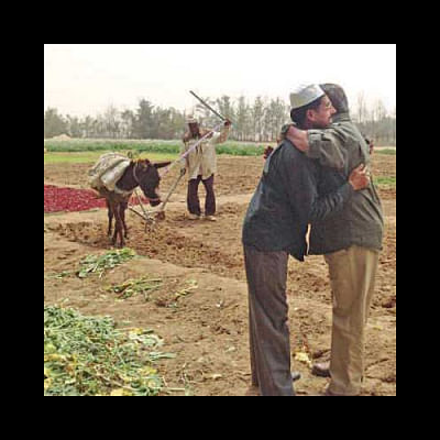 Farmer Farid Farmer Farid