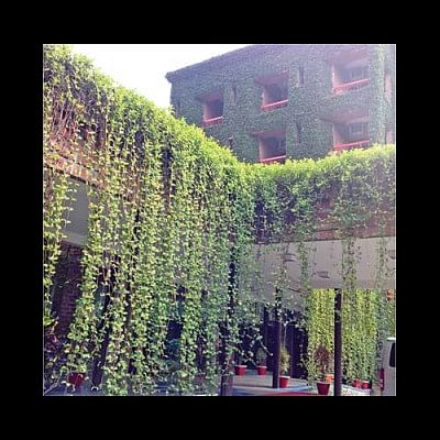 Grow well Grow well