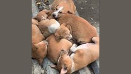 Untitled design (7).jpg