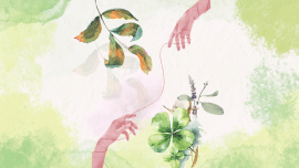 Illustrations 8 (14).png