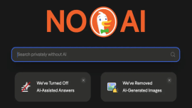 DuckDuckGo No AI