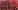 communist-left-leftist-parties-india.webp