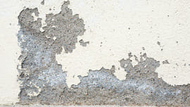 paints2.jpg