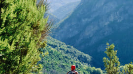 pexels-valter-zhara-164968736-13259579.jpg