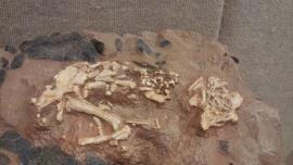 20160225_111902.b57a6171302.original (1).jpg