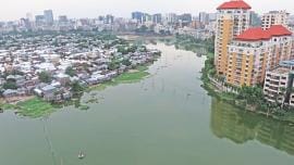 A contrasting view.jpg