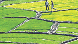 beautiful bangladesh 1.jpg