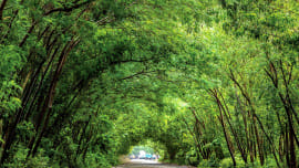 Bonayan Program of British American Tobacco Bangladesh