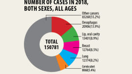 chart.jpg