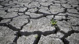 Desertification-And-Drought-Day.jpg