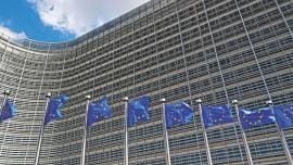 European Union flags.jpg