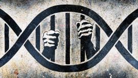 human rights jail.jpg