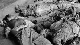 killing of intellectuals