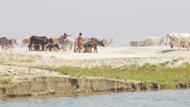 Let the rivers run wild