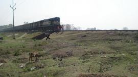 Mass grave golahat 1.jpg