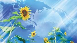 Shaping A Better Future Together