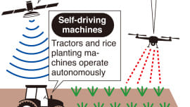 smart-farming-graphic-ann-wb-thumb.jpg