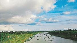 The water benders of Satkhira