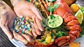microplastic-seafood.jpg