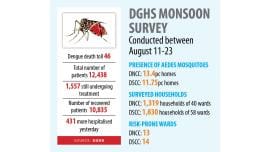 dengue-crisis.jpg