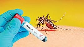 dengue-crisis.jpg