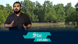 explainer_sundarban_web.jpg