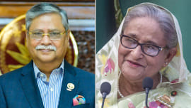 interim government agrees with Asif Nazrul's statement on president