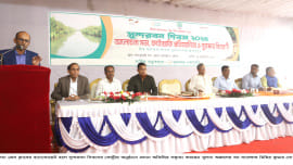 news_photo-1_sundarban_day.jpg