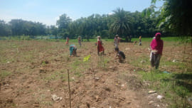 Forest Department.jpg