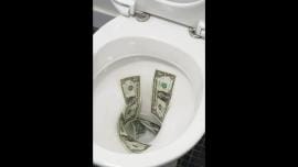 toilet-money