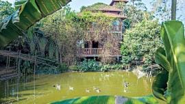 slow living lifestyle benefits