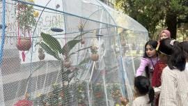 jahangirnagar butterfly fair 