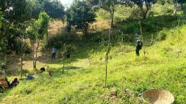 Lawachhara-national-park