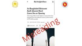 ca press wing rebuttal.jpg