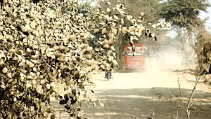 Dust-Road-Tree-Damage-Khulna.jpg
