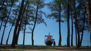 Explore the untouched landscapes and cultures of Cox’s Bazar