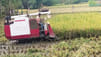 Farmers.jpg