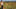 OP_1__Rubber_plantation.jpg