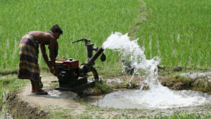 OP_2_irrigation.jpg