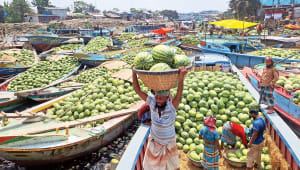 Watermelon-1.jpg