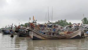 fishing-trawlers.jpg
