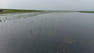 submerge-500-hectares-of-Boro-01.jpg