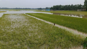 Heavy-rainfall-1.jpg