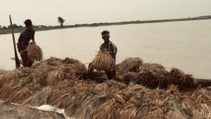 Haor Crisis