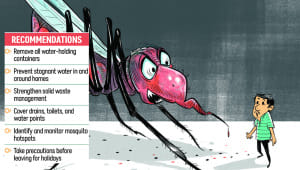 dengue-risk-new.jpg