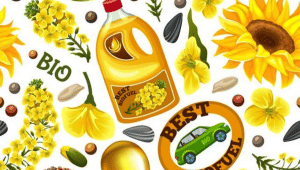seamless-pattern-biofuel-from-rapeseeds_105738-1180.png