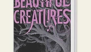 A Surprisingly Not Overdone Fantasy-Romance