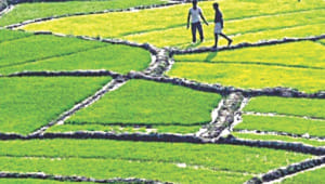 beautiful bangladesh 1.jpg